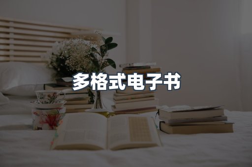 海外电子书